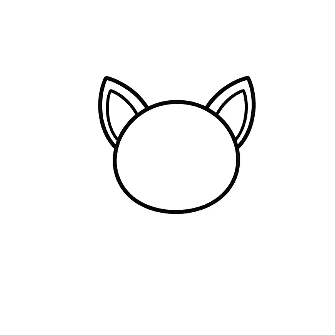 A wide round head with two tall pointed ears, each with an inner ear line
