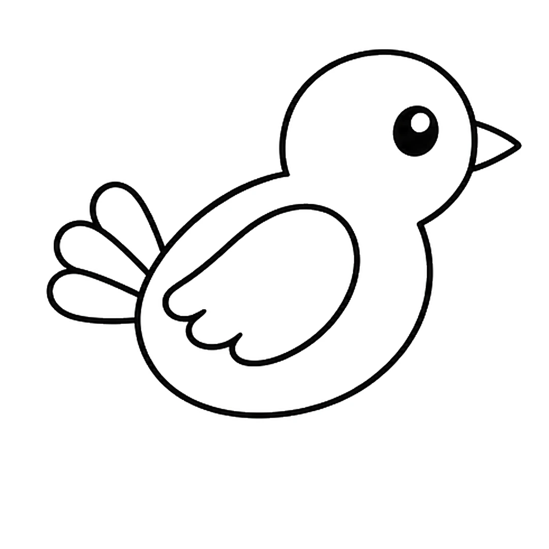 A tail of three rounded feathers at the back of the body