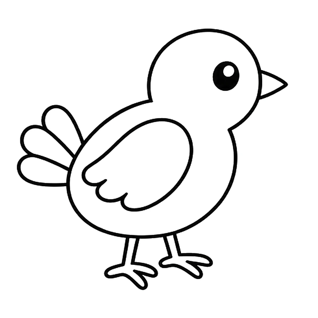 Two thin legs under the body, each with a foot of three thin toes