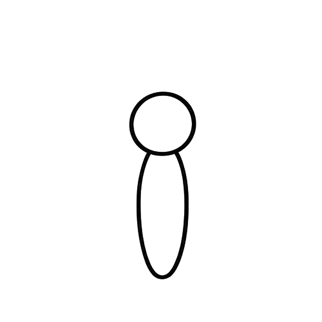 A round head on top of a long, thin oval body