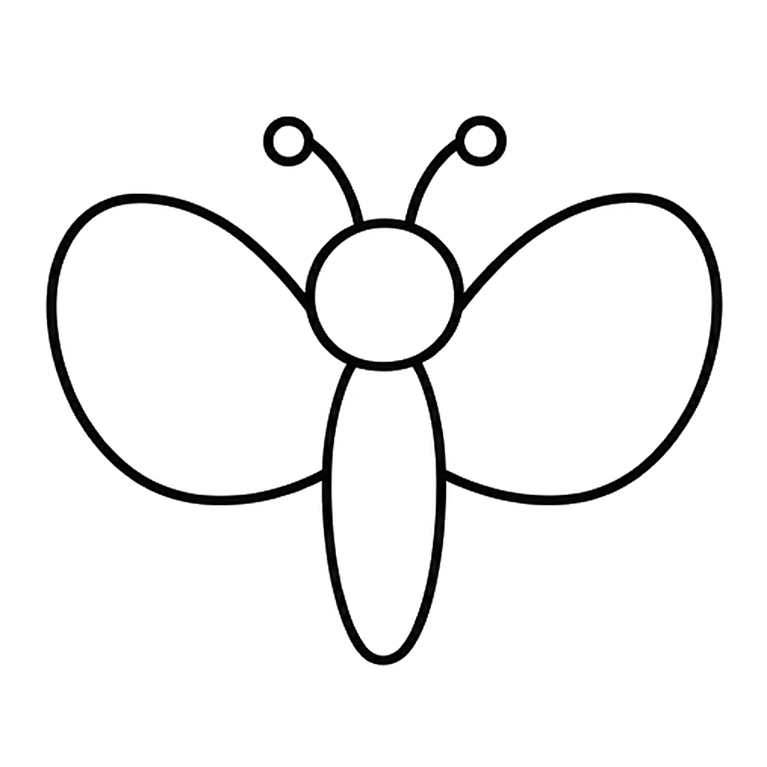 Two big rounded upper wings, one on each side of the head and body