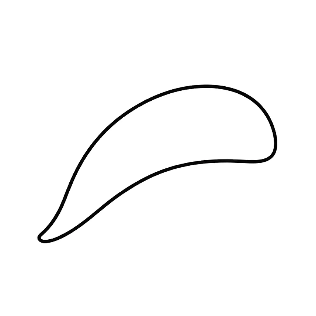 A long curved body shape, round at the front on the right and thin at the back on the left
