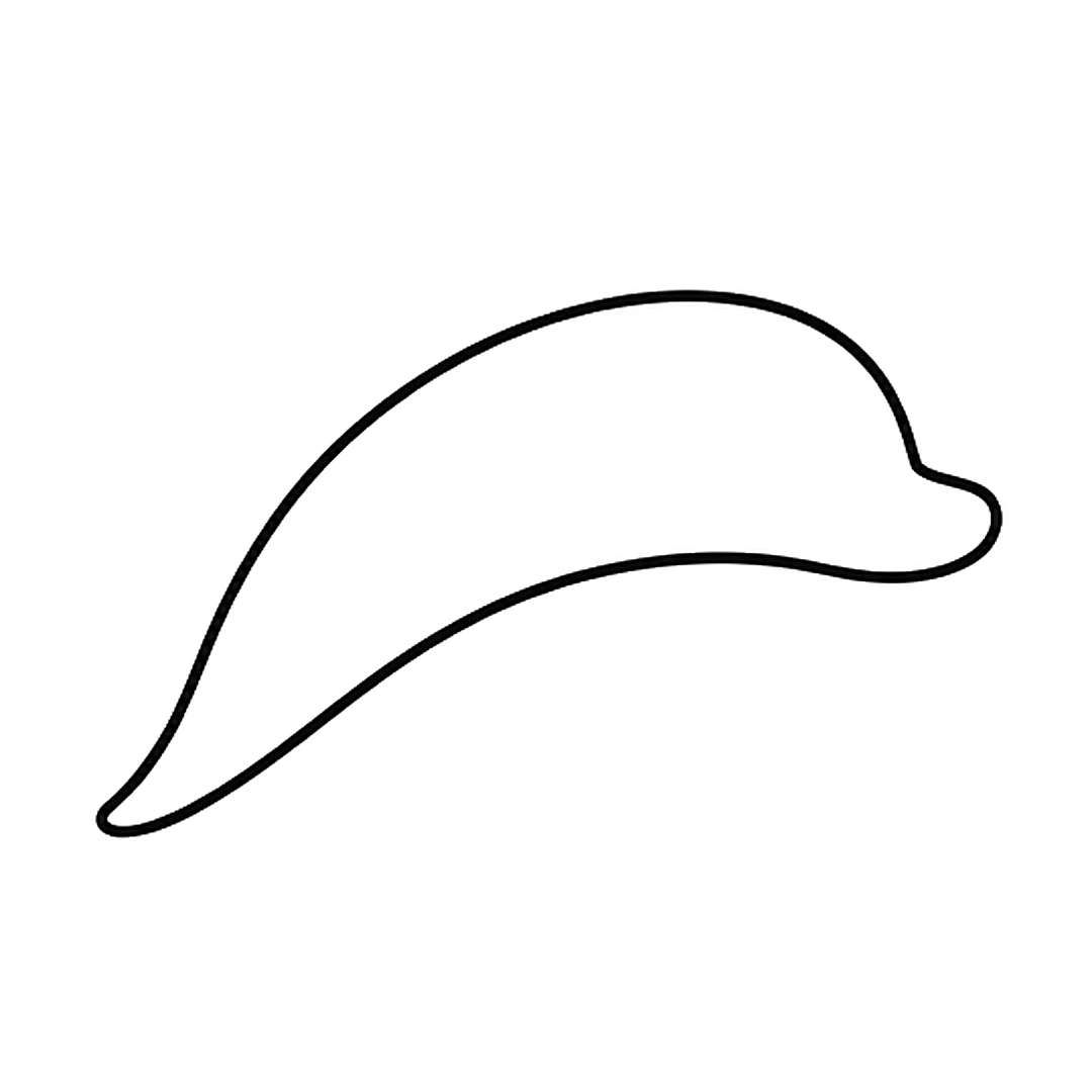 A short rounded snout added to the front of the body