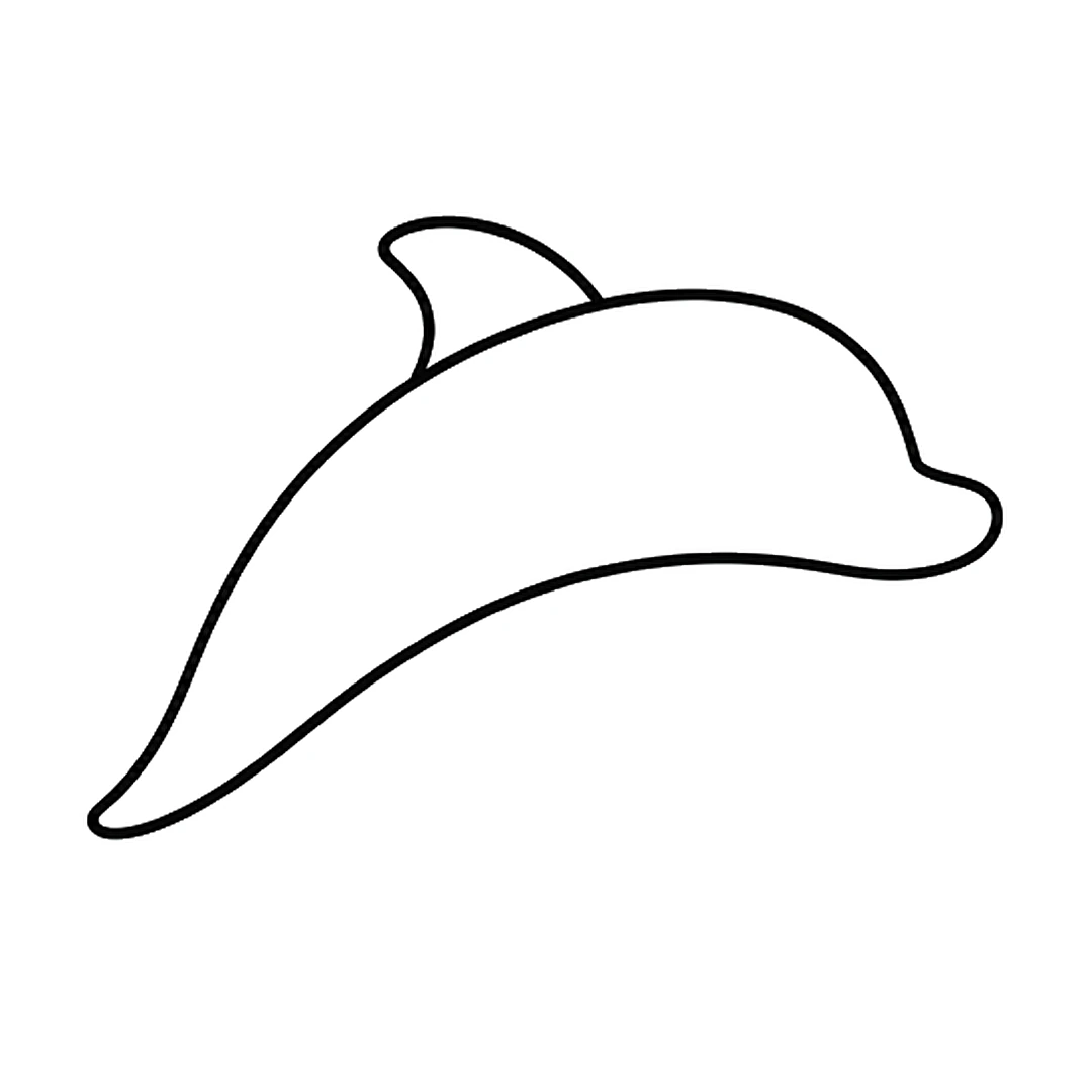 A curved fin on top of the back
