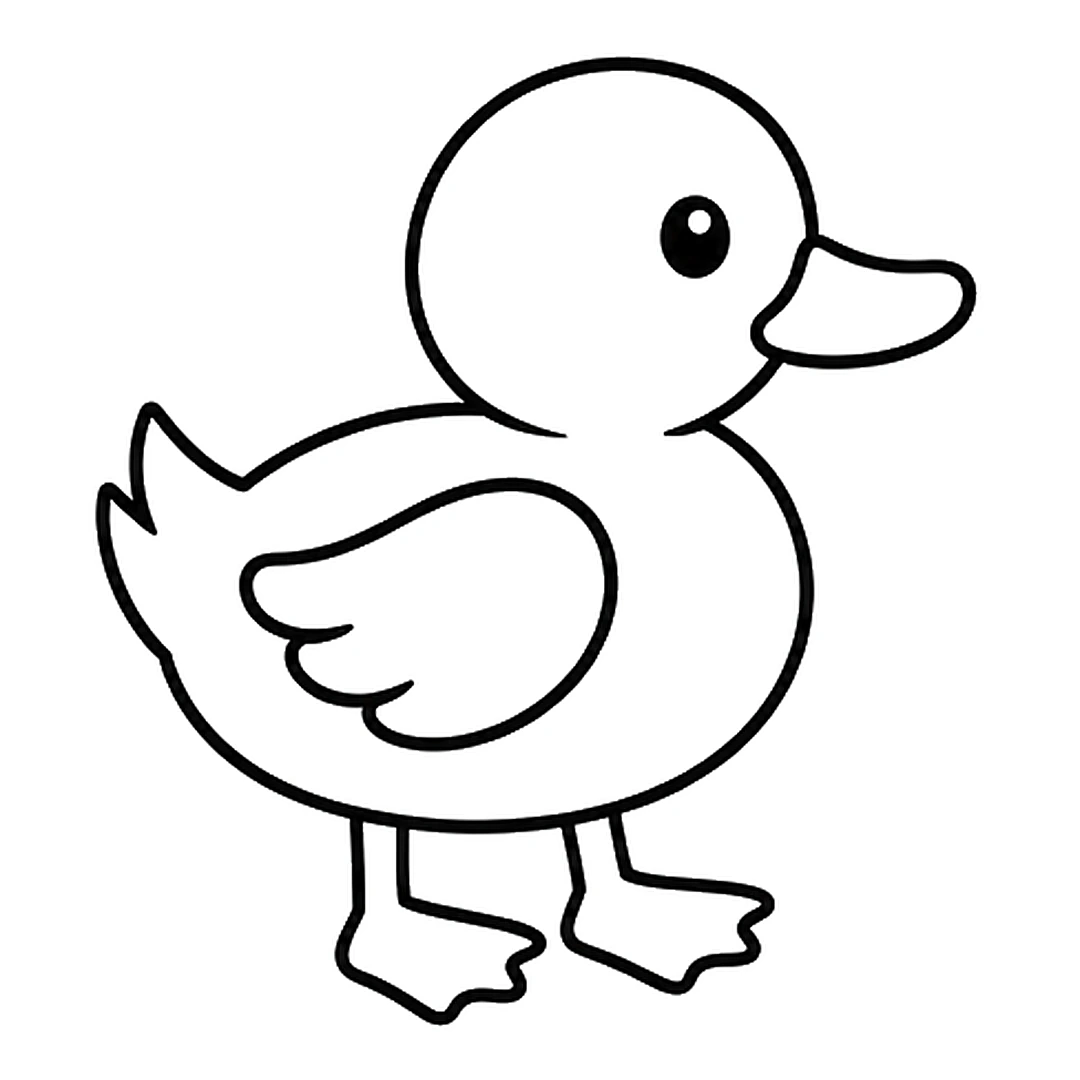Two thin legs under the body, each ending in a fan-shaped webbed foot with three points
