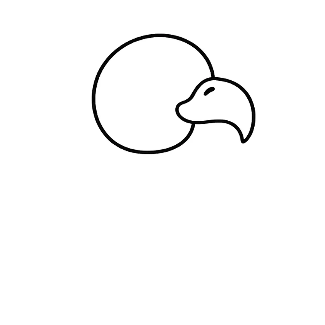 A round head with a big hooked beak pointing to the right