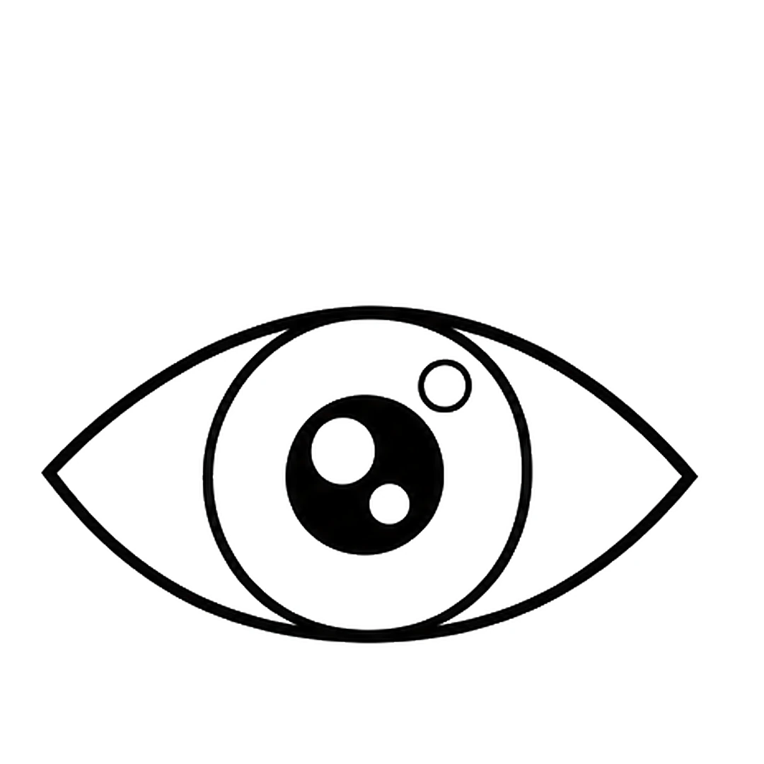 A bigger black pupil with two white shine circles, and one more small shine circle on the iris