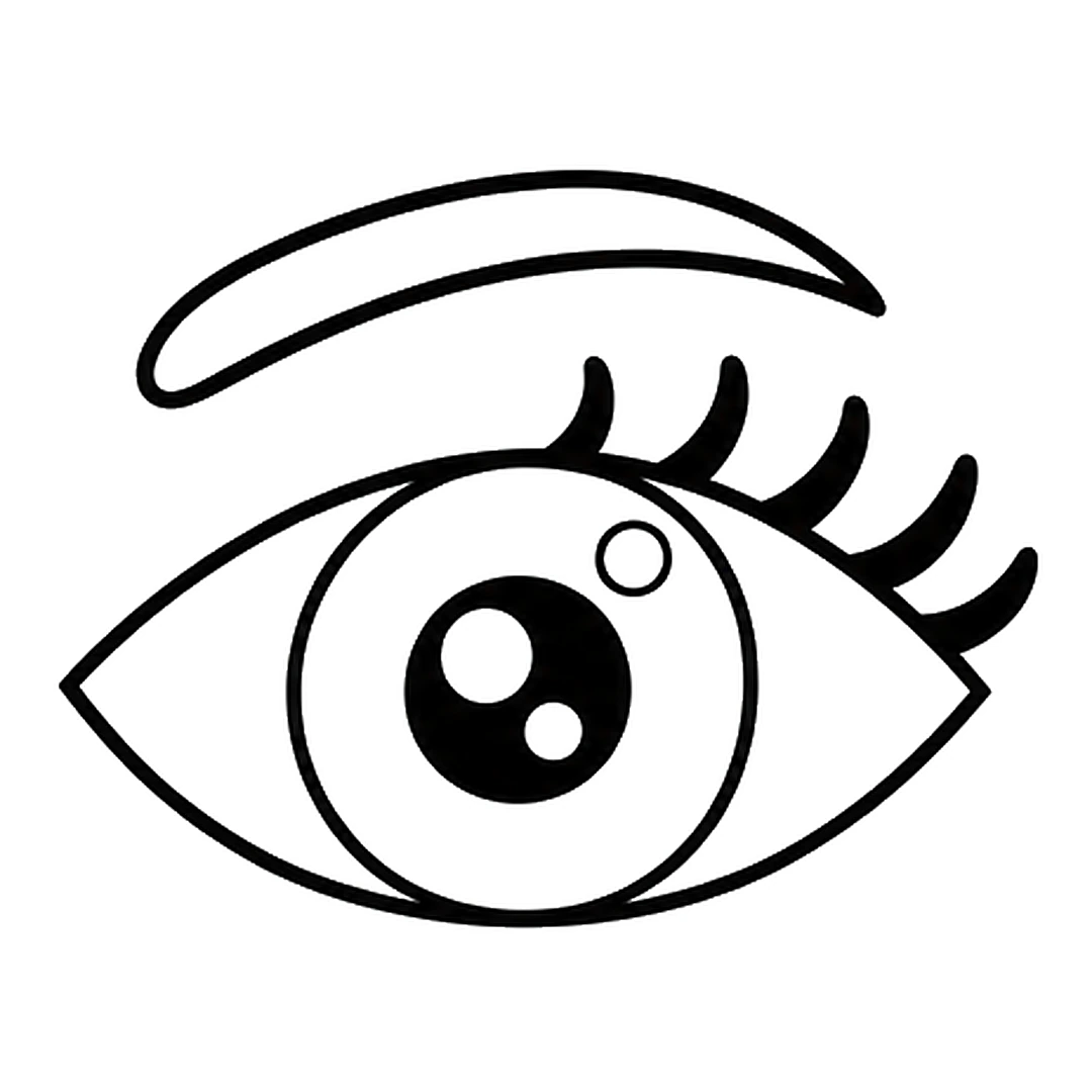 Five curled eyelashes on the outer half of the top lid and a curved eyebrow above the eye