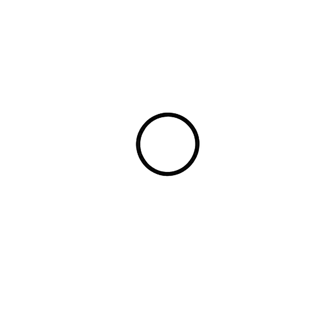 A small circle for the center of the flower