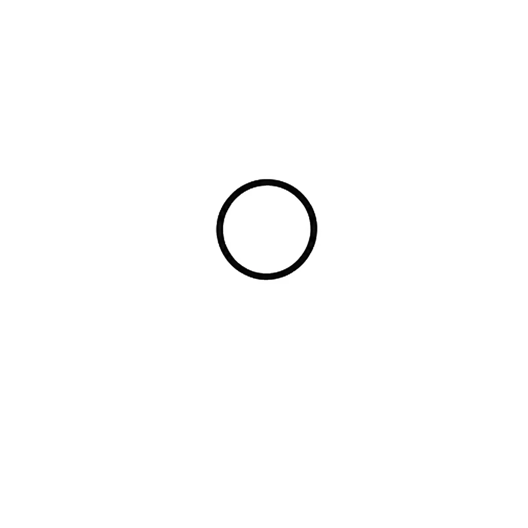 A small circle for the center of the flower