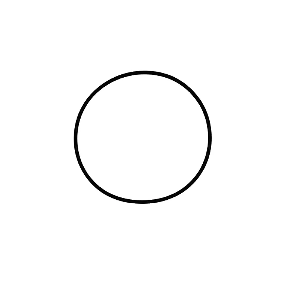A round circle for the lion's head