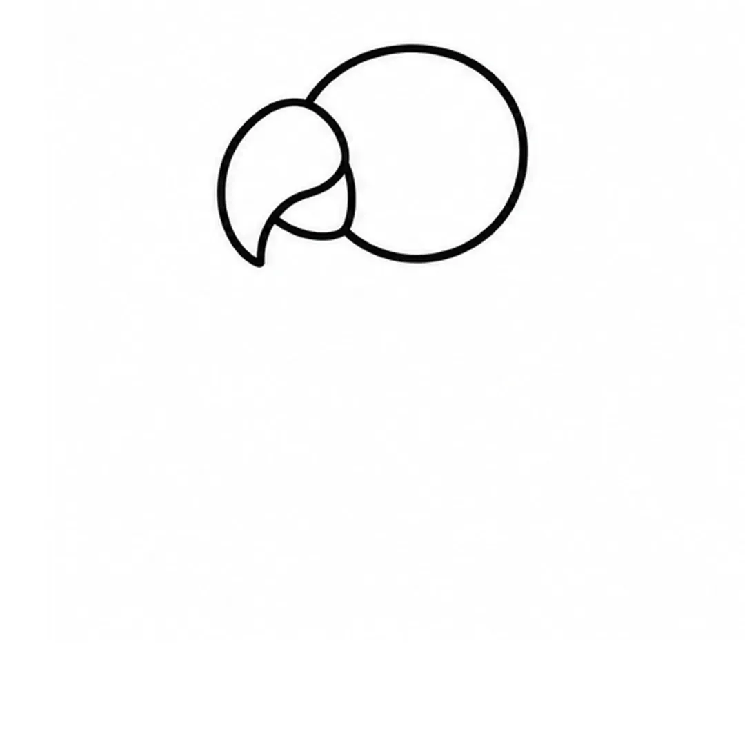 A round head with a big curved hooked beak on the left side