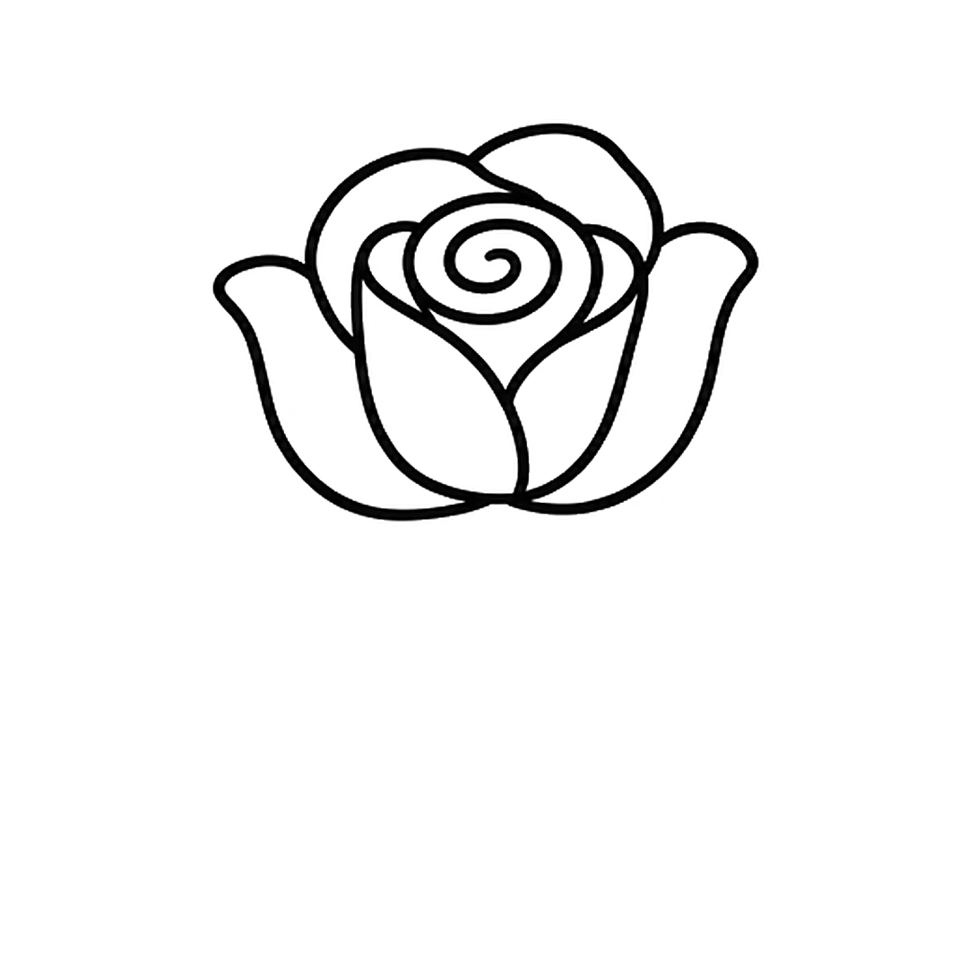 Four bigger outer petals, one on the left, one on the right and two overlapping behind the top of the cup
