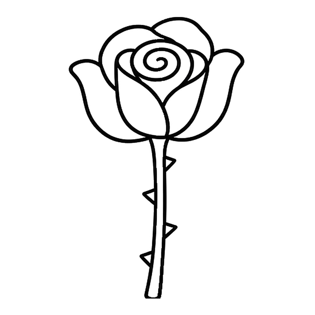 A long stem under the rose with four small pointed thorns, two on each side