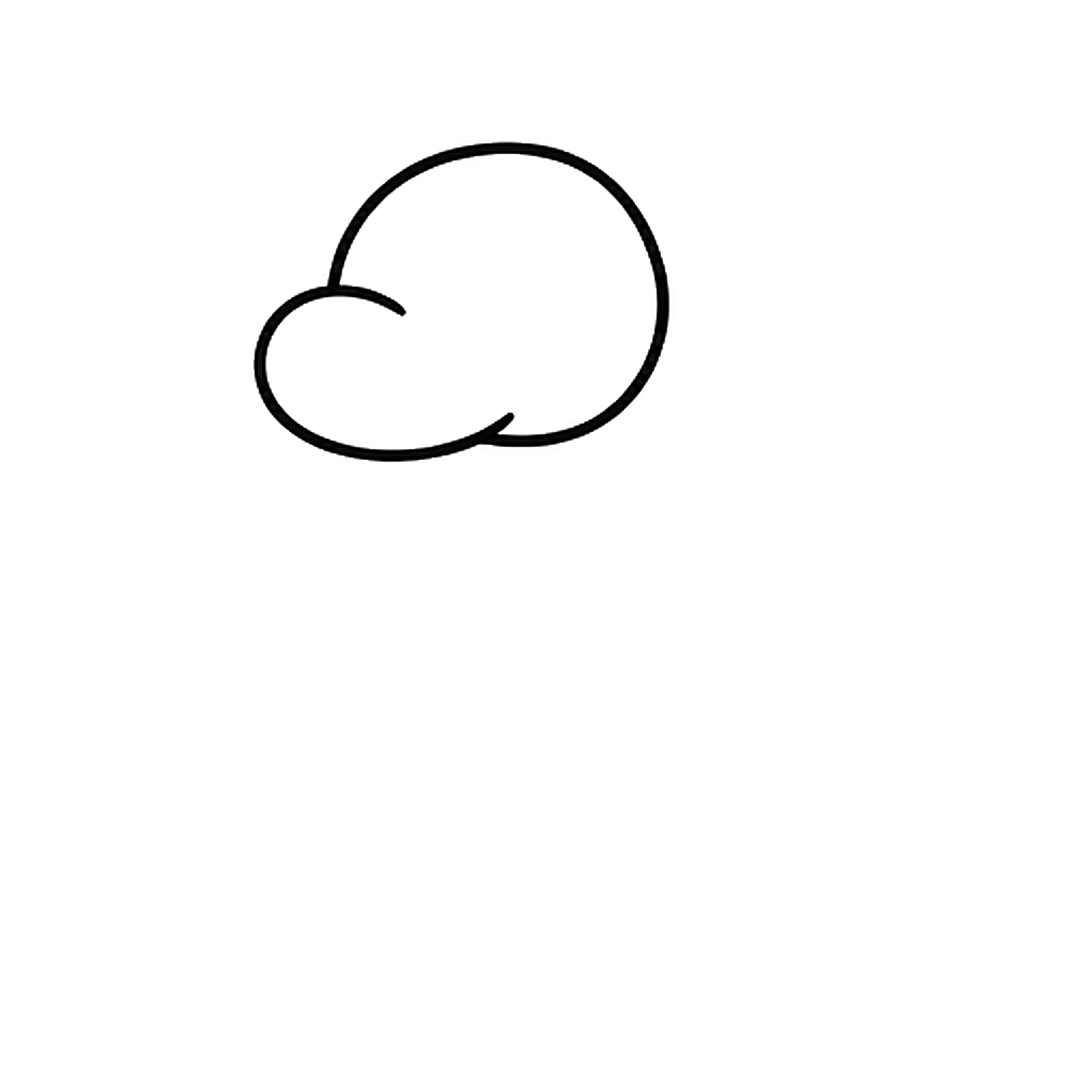 A round head with a small rounded snout bump on the left