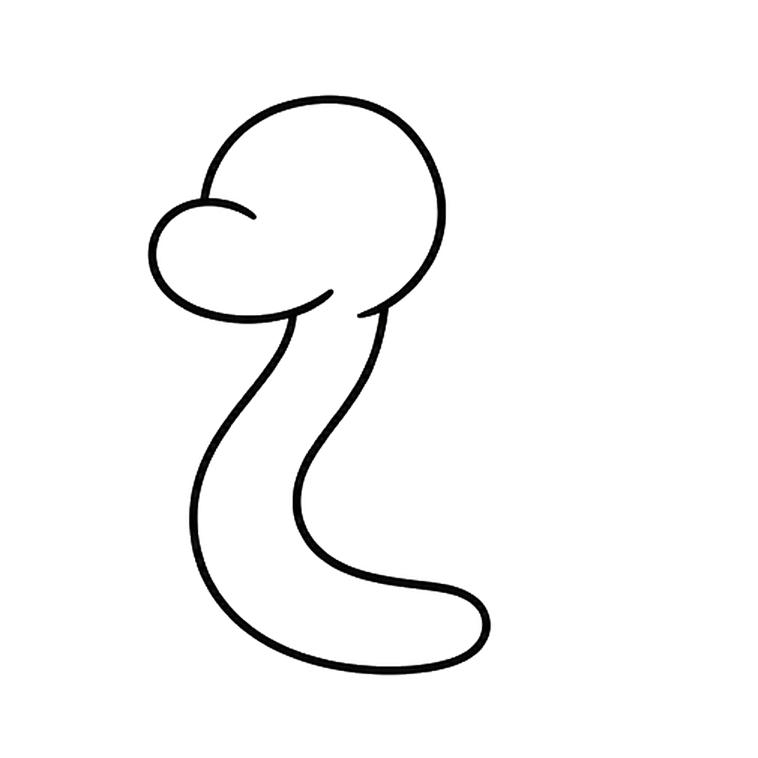 A long S-shaped neck curving down from the head and ending in a rounded end