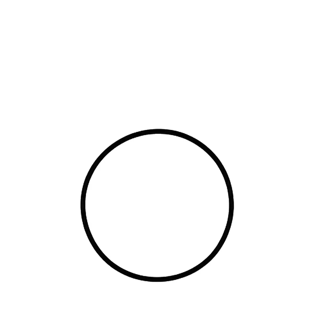 A big round body
