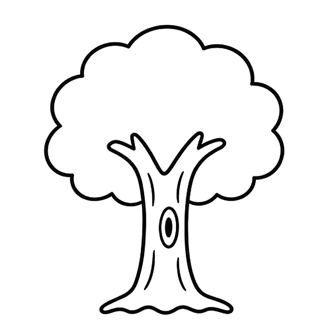 Four curved bark lines on the trunk and an oval knot hole in the middle