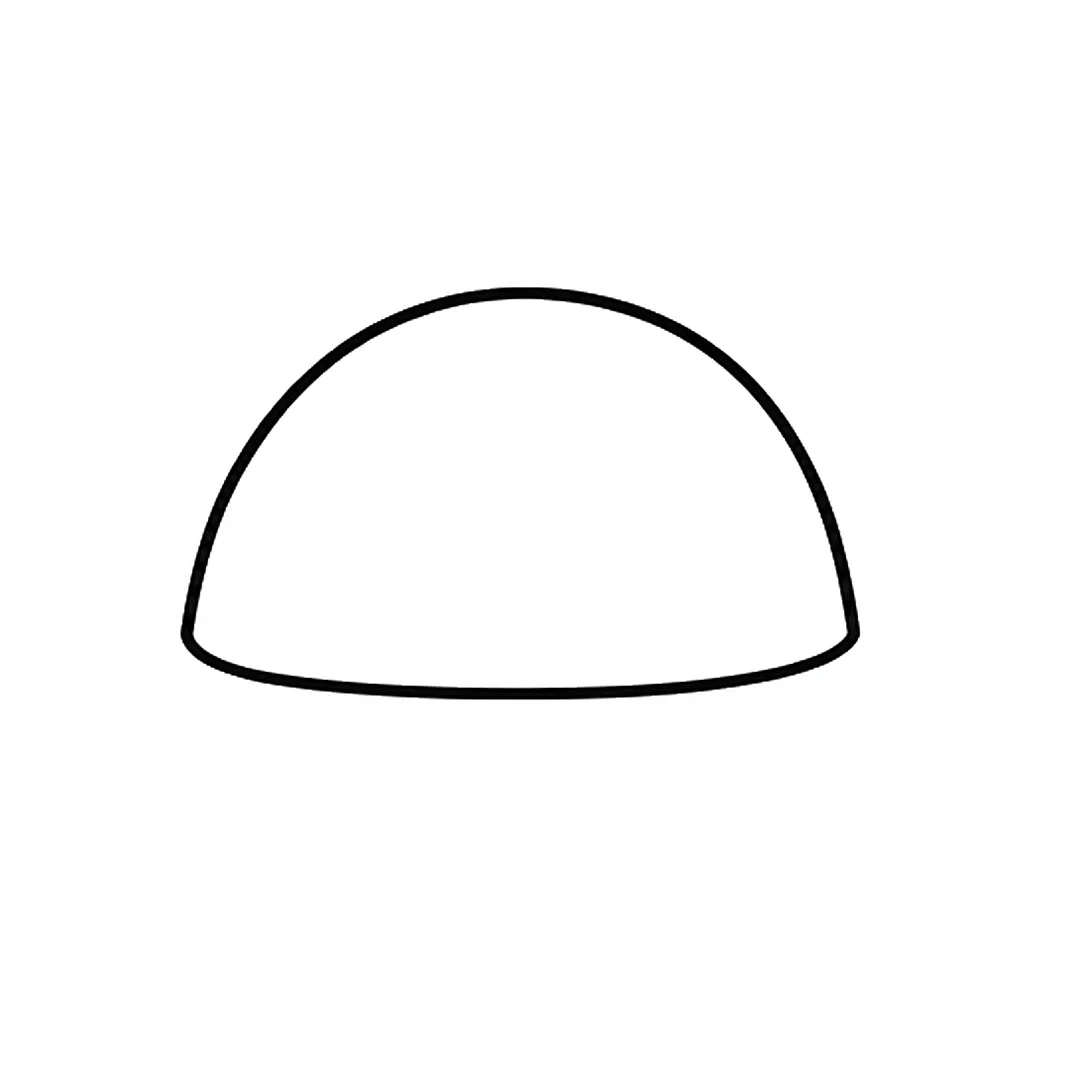 A big dome-shaped shell with a flat bottom line