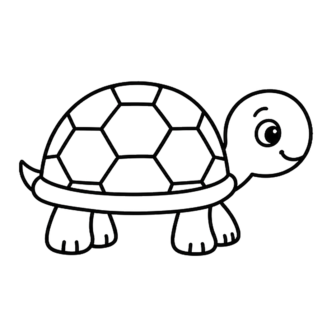 A pattern of hexagon shapes covering the shell